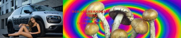 наркотики Карпинск