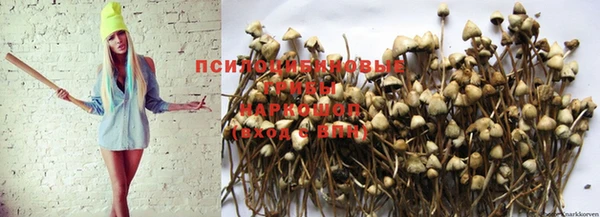 гашишное масло Анжеро-Судженск